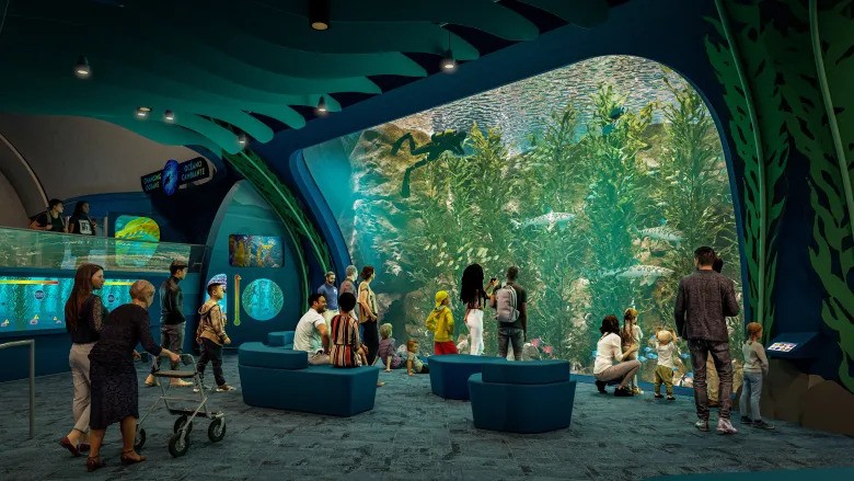 Is Shedd Aquarium Truly Worth The Hype? Here's What We Found