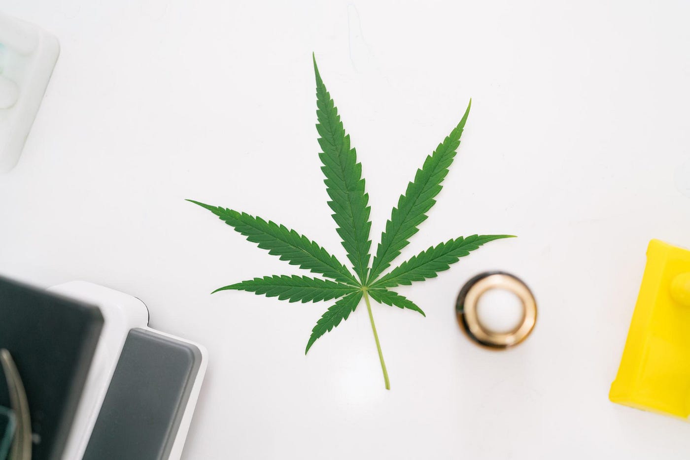 Growing Your Cannabis Business - Top 7 SEO Tips You Need To Know